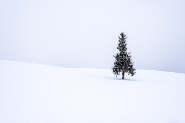 Christmas tree covered with snow for background.