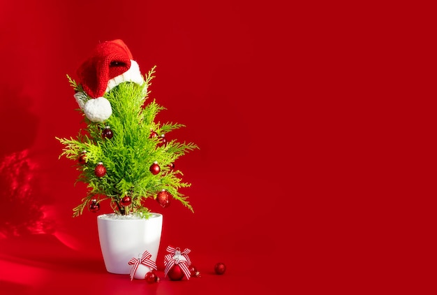 Christmas tree and decorations on a red background with copy paste mockup