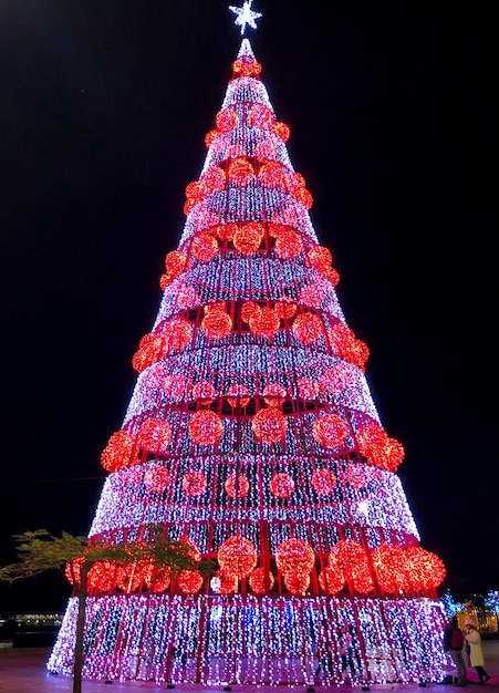 Christmas Tree in Funchal, Madeira, Portugal, vertical photo