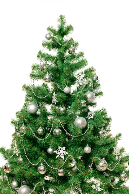 Christmas Tree isolated