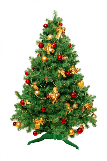 Christmas Tree isolated