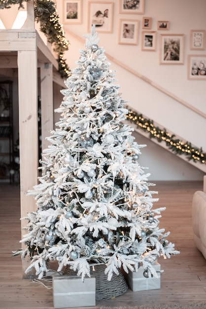 Christmas tree in living room