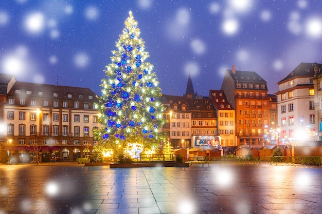 Christmas Tree in Strasbourg Alsace France