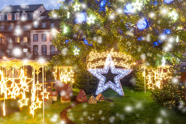 Christmas Tree in Strasbourg Alsace France