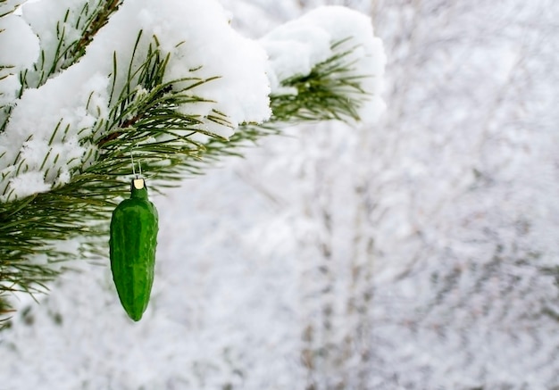 Christmas tree toy green cucumber hanging on snow covered pine branch winter background copy space