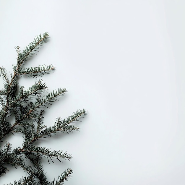 Photo a christmas tree with a white background and a white background