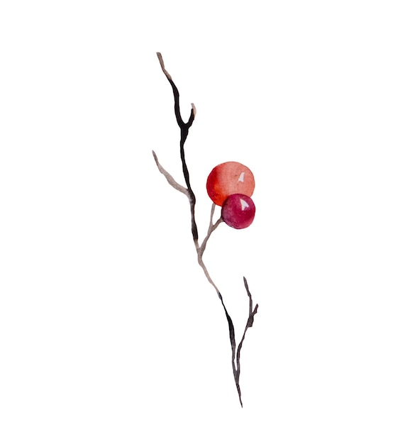 Christmas watercolor twig with red berries isolated Illustration Hand drawn winter party design