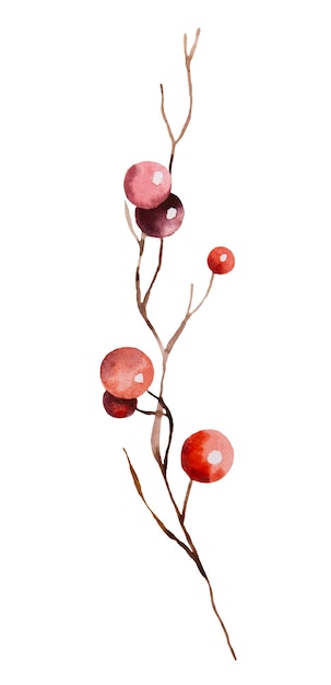 Christmas watercolor twig with red berries isolated Illustration Hand drawn winter party design