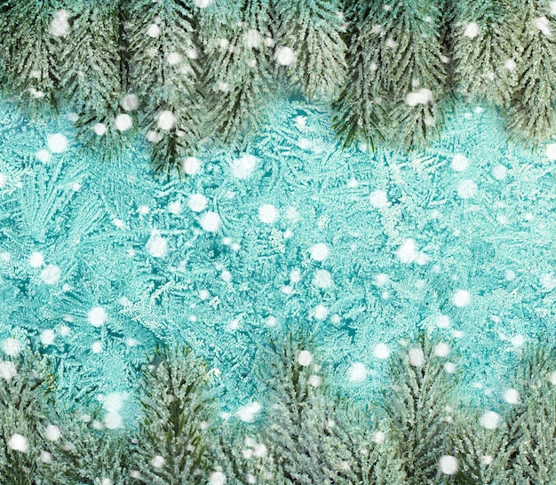 Christmas window background with snowy fir branch and frost with snow