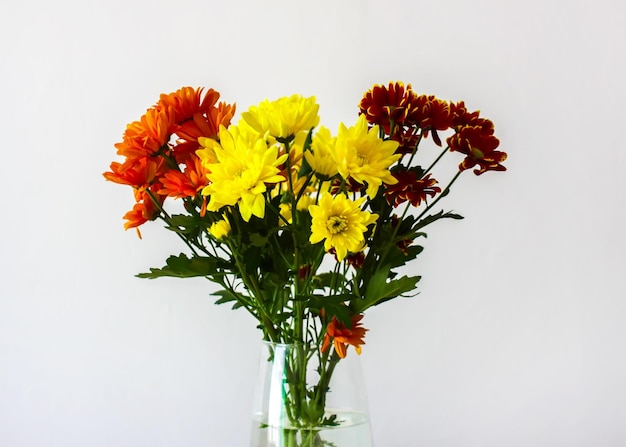 Chrysanthemum bouquet on the light soft background