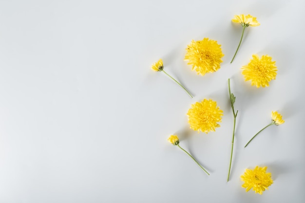 Chrysanthemum and cutter flowers composition Pattern and Frame made of various yellow or orange flowers and green leaves on white background Flat lay top view copy space spring summer concept