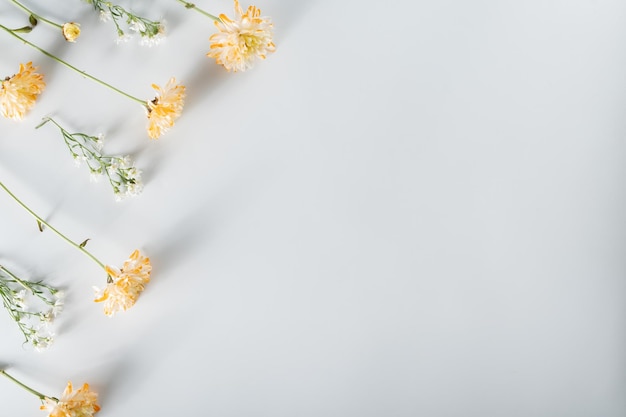 Chrysanthemum and cutter flowers composition Pattern and Frame made of various yellow or orange flowers and green leaves on white background Flat lay top view copy space spring summer concept