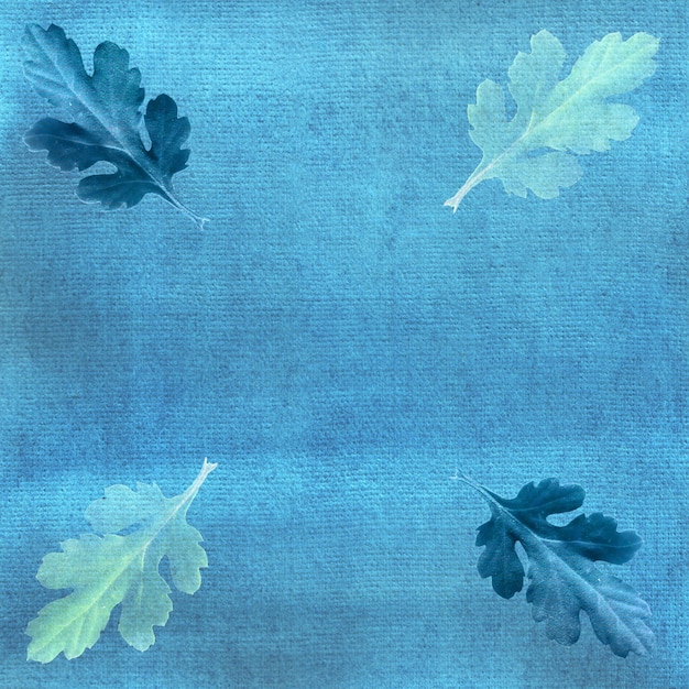 Chrysanthemum leaves on Handpainted blue watercolor background