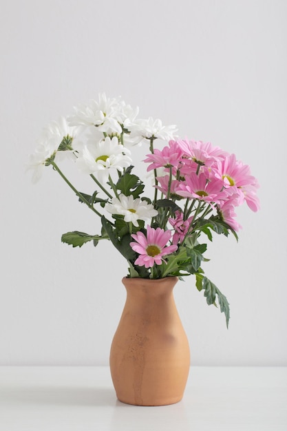 Chrysanthemums flowers in ceramic vase on white background