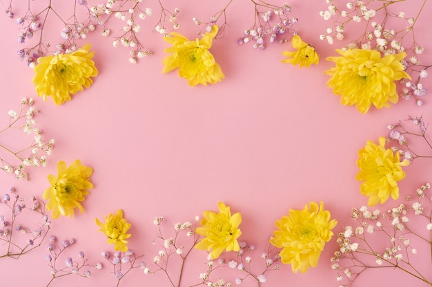 Photo chrysanthemums flowers on pink background. top view.