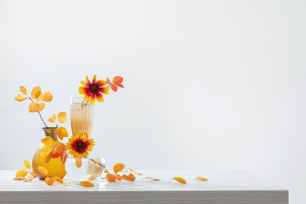 Chrysanthemums in glass vase on white background