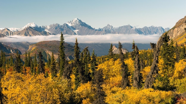 Chugach Mountains Matanuska River Valley Alaska United States