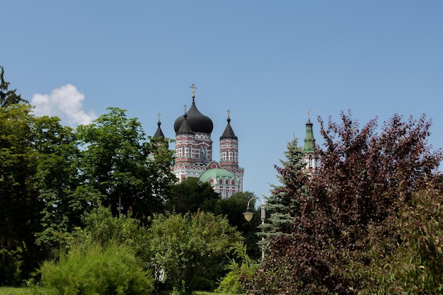 Church and church in a green park