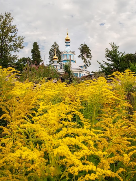 The church is behind the yellow flowers Vertical view