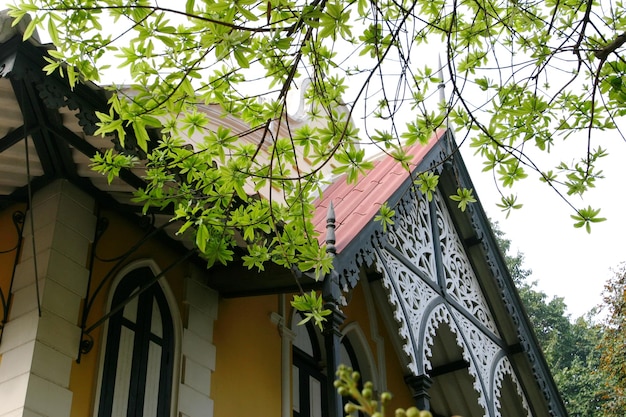 Church view with beautiful foliage