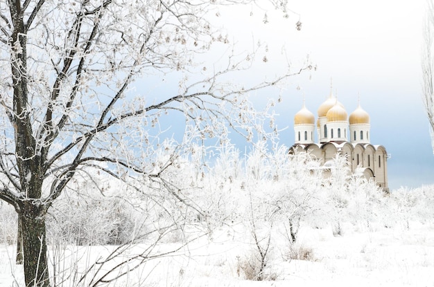 Church in winter