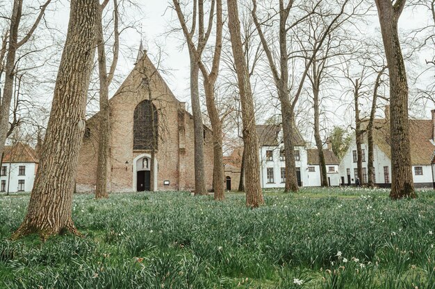 a church with a church in the background and a church with a church in the background