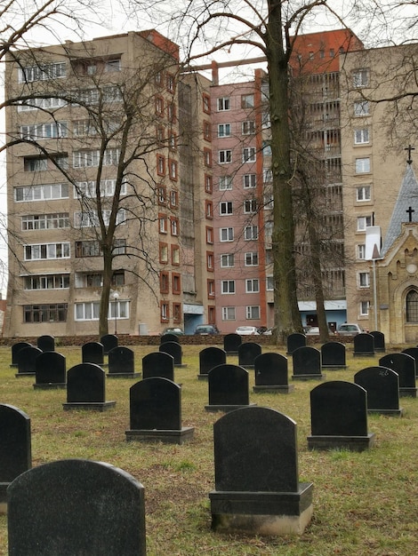 A church with a steeple in the background is surrounded by trees.