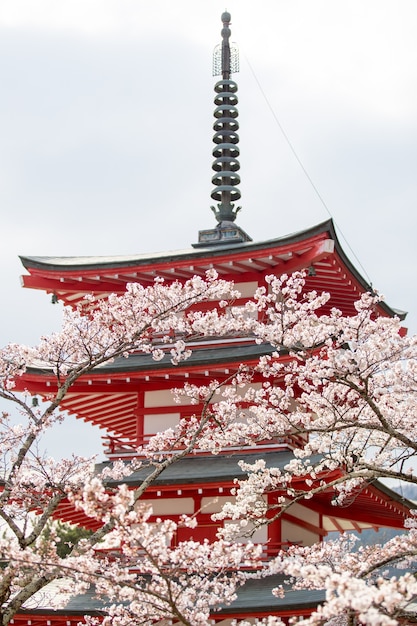 Chureito Pagoda in spring