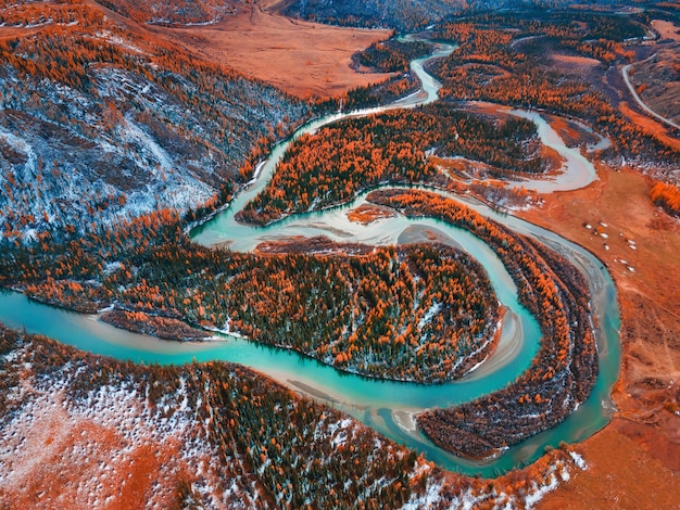 Chuya river in Kurai steppe, Altai mountains, Siberia, Russia. Aerial drone view. Blue river with yellow autumn trees and snow. Beautiful autumn landscape.