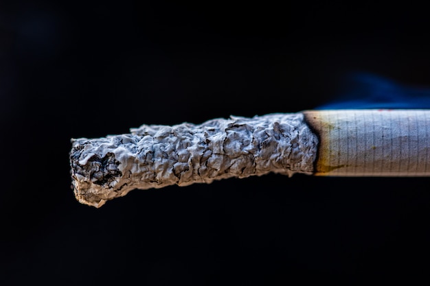 Cigarette detail macro smoke in cigar