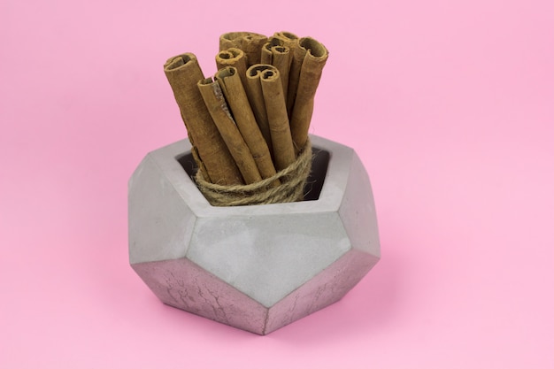 Cinnamon sticks bundle in gray concrete vase pink background