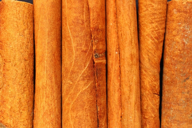 Cinnamon sticks close-up