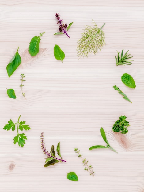 The circle of fresh herbs set up on white wooden background.