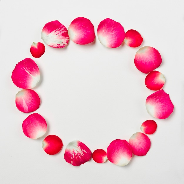 Circle from flower petals