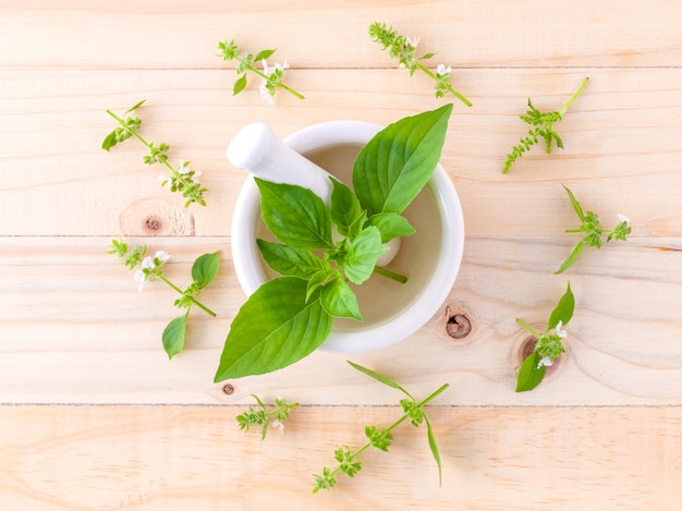 The circle of lemon basil leaf on wooden background.