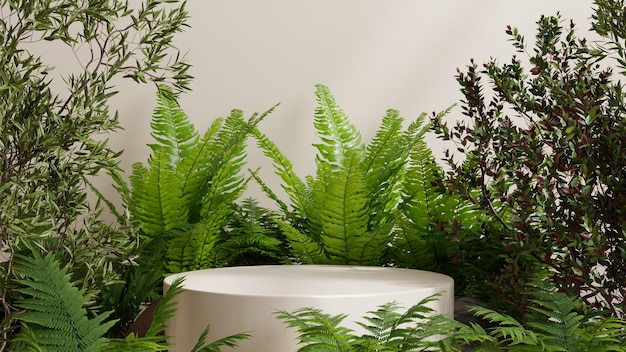 Circle pedestal in tropical forest for product presentation on cream color wall