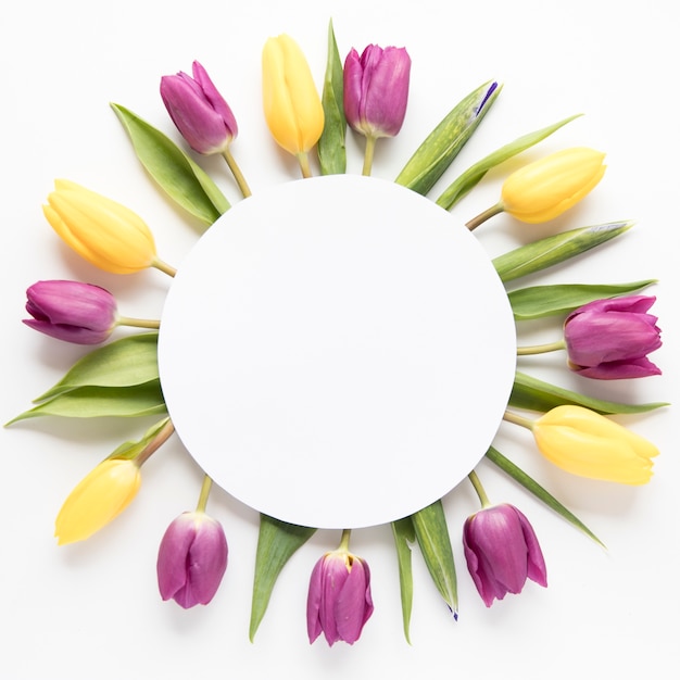 Circle on tulips