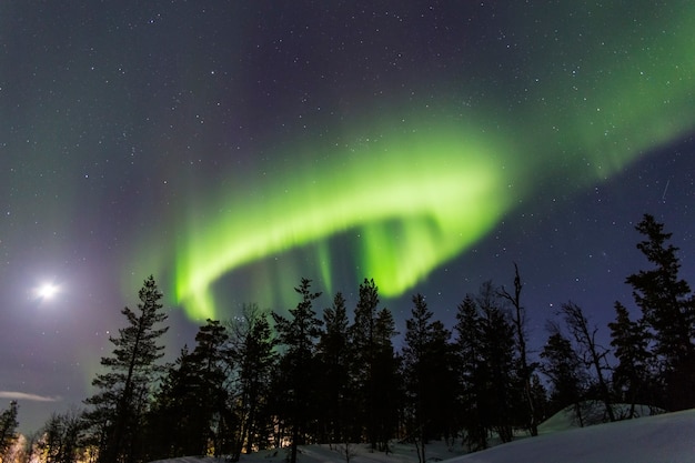 circular aurora borealis next to the moon over a forest