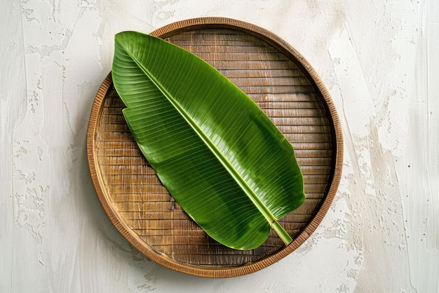 Circular fresh green banana leaf on wooden plate with white background isolated