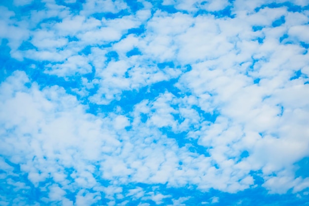 Cirrocumulus white little cotton clue against blue sky