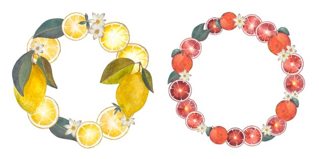 Photo citrus fruit wreaths with lemon and orange illustrations add color and nature to any space