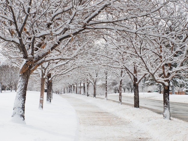 City after the fresh snow.