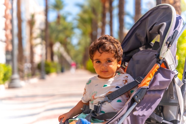 City of Alicante A boy in a car on the Las Olas walkway with beautiful palm trees on the coast