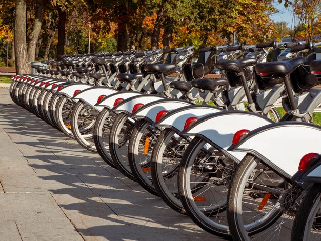 Photo city bikes are parked in a row in the fall