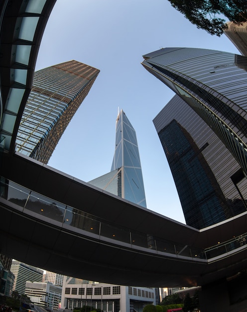 City business modern, buildings skyscrapers low angle fish eye view