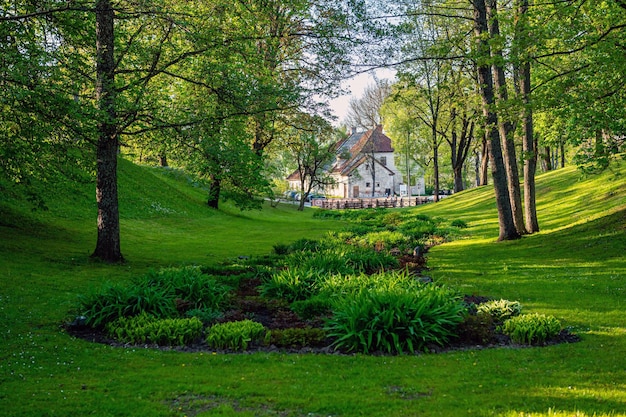 City park landscape on a sunny summer day Kuldga Latvia