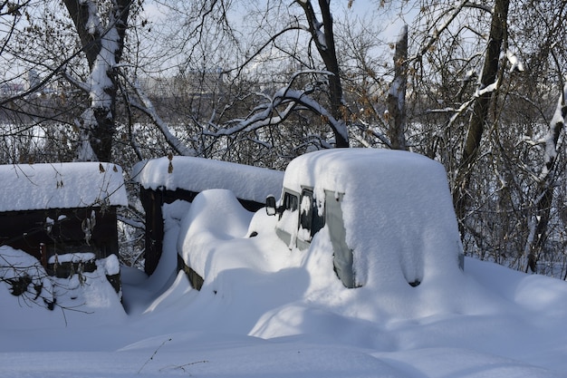 City park snowed in winter