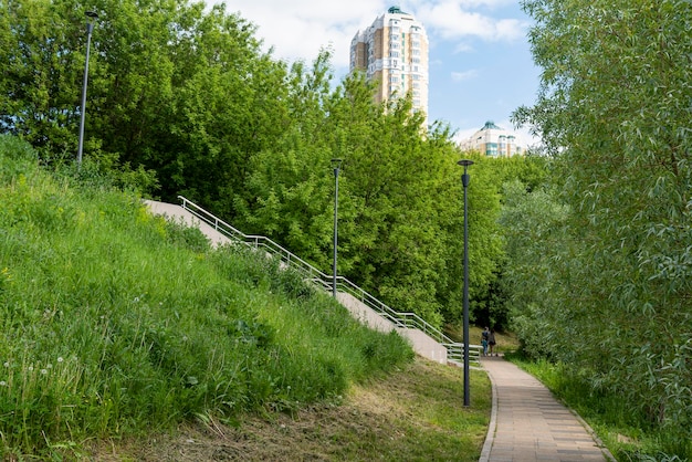 A city park with trees on a summer sunny day with a house in the background