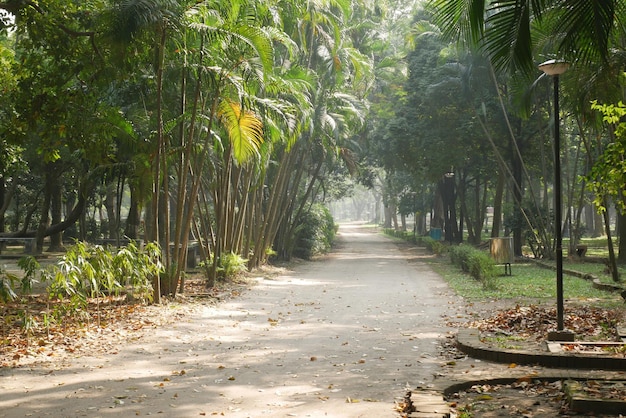 City parks with walkaway at early morning