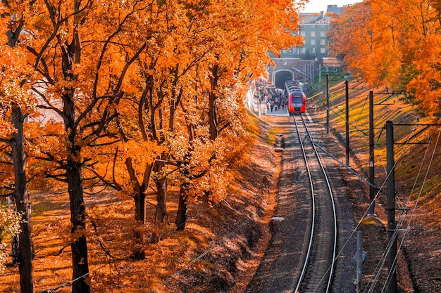 City railway station with electric train on the platform Fall